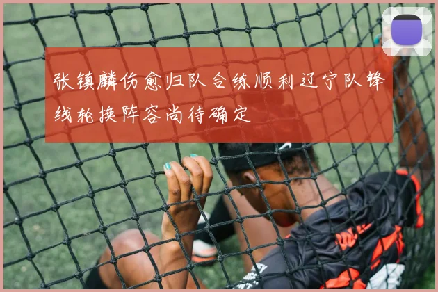 张镇麟伤愈归队合练顺利辽宁队锋线轮换阵容尚待确定